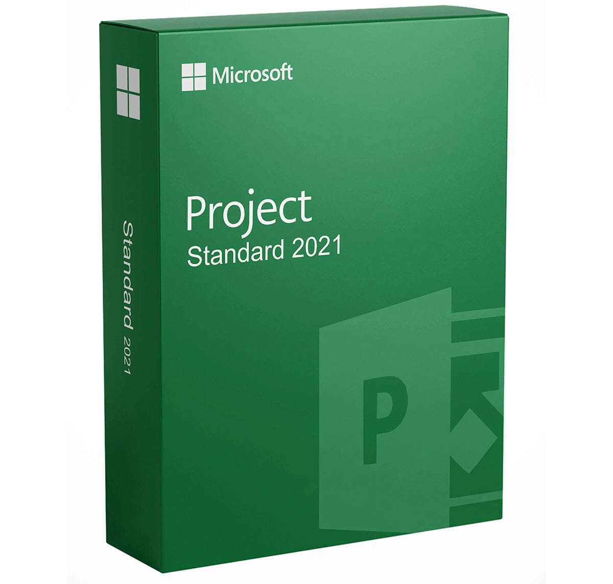 Microsoft Project 2021 Standard