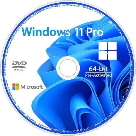 Microsoft Windows 11 Professional / DVD