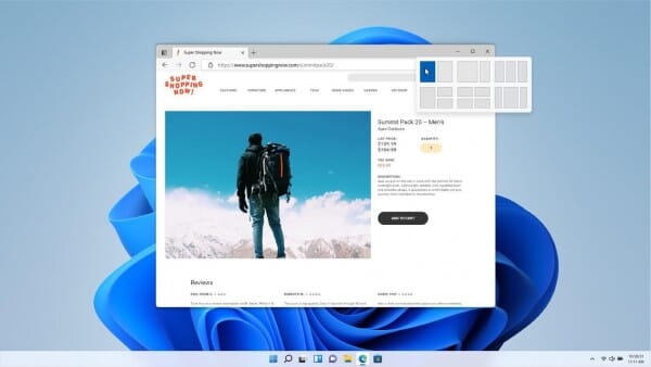 Microsoft Windows 11 Professional / DVD