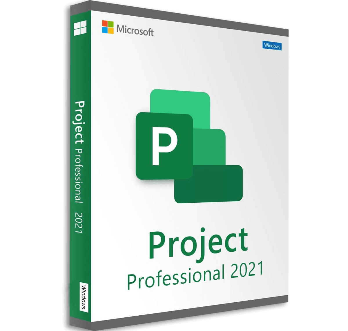 Microsoft Project 2021 Professional