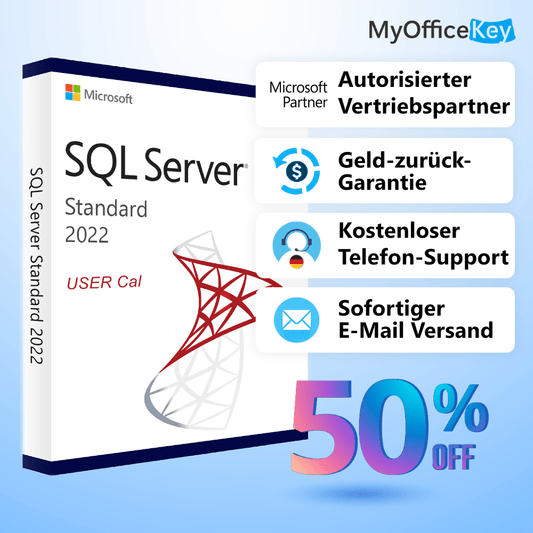 SQL Server 2022 Standard - 1 User CAL