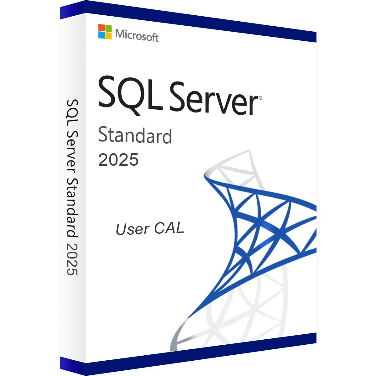 SQL Server 2025 Standard - 1 User CAL